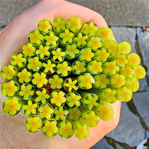 COE 90 Murrini Flower: Bright Green - 1 Oz Cane/sticks - Etsy