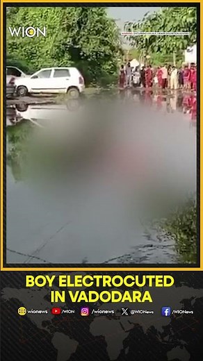 India: 11 Year Boy Dies After Live Wire Falls in Water | WION Shorts