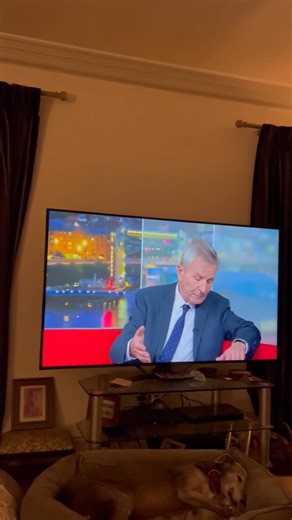 9.7K views · 196 reactions | Who caught our Mug appearance on BBC Look North tonight? Big thanks to Peter Levy for giving us a shout out ❤️ To find out more about us and the greyhounds in our care looking for homes, click here: https://lincolnshiregreyhoundtrust.co.uk/dogs-needing-homes/ Thank You to Jeanette and Tony for sending the mug in ❤️ | Lincolnshire Greyhound Trust | Facebook