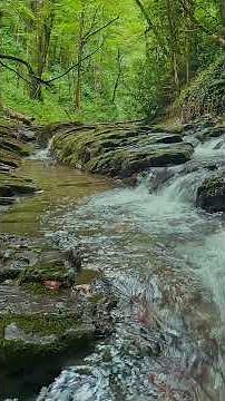 Sourate Al-Anbiya (DHOUN NOUN)