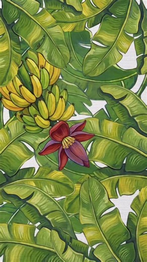 FUNCAP SE on Instagram: "Uma jovem artista que deu os primeiros passos na Galeria de Arte J. Inácio! Em 2024, Lorena Costa, aluna do Colégio Estadual Dr. Antônio Garcia Filho, em Umbaúba, participou do “Festival AVIE! – Artes Visuais na Escola”, projeto que abre espaço, na Galeria de Arte J. Inácio, para obras de estudantes da rede pública estadual em diferentes linguagens. Premiada com cinco mil reais pela primeira colocação, Lorena destaca que ver seus trabalhos expostos em um espaço que já ac