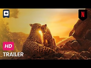 Our Planet: 2 - Official Trailer - Netflix