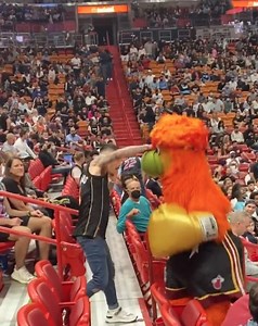 21-0 😂 | Australian Boxing Central