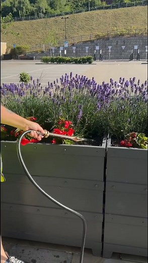 3.2K views | Fox Valley on Reels | Facebook