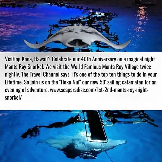 Manta Ray Night Snorkeling at Manta Village Kona Hawaii-85-95% Sighting Rate | Sea Paradise (Square)