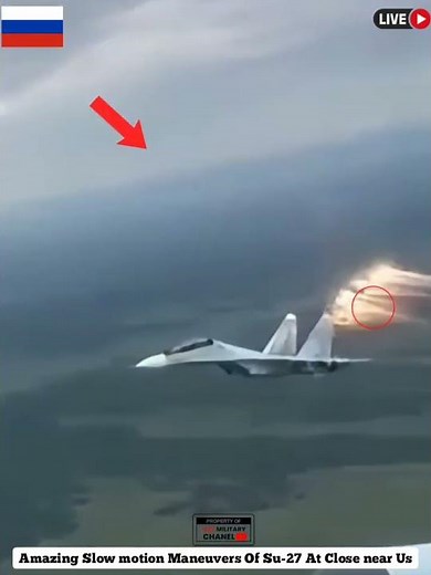 Amazing Maneuvers Of Su-27 | Part 2 #shortvideo #shortsfeed