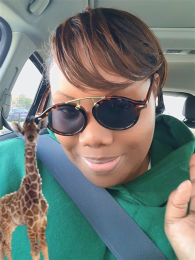 Understanding the Giraffe Named Dwayne