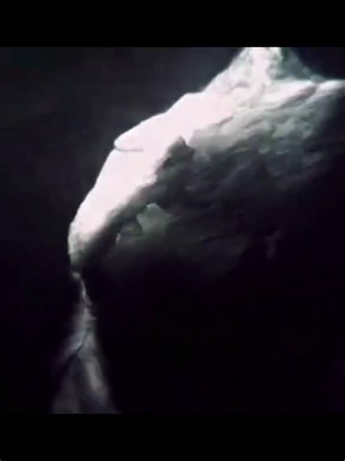 Jurassix World Fallen Kingdom Rexy Edit