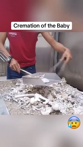 Barrymrdeep on TikTok