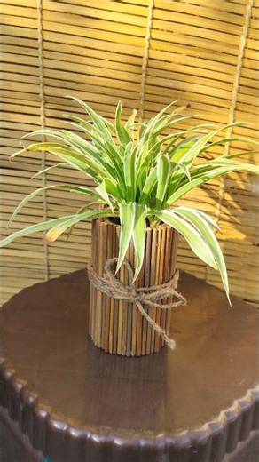 DIY Planter || Creative Ideas for Planters #diy #handmadeplanter #shorts #ytshorts