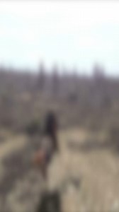 125K views · 2.6K reactions | Juegos: 1.- https://www.eltiomediafire.com/store/dead-river-last-hope/ 2.- https://www.eltiomediafire.com/store/toem-a-photo-adventure/ 3.- https://www.eltiomediafire.com/store/red-dead-redemption-netflix/ Top 7 joyitas ocultas de playstore parte 2 | El Tío Mediafire | Facebook