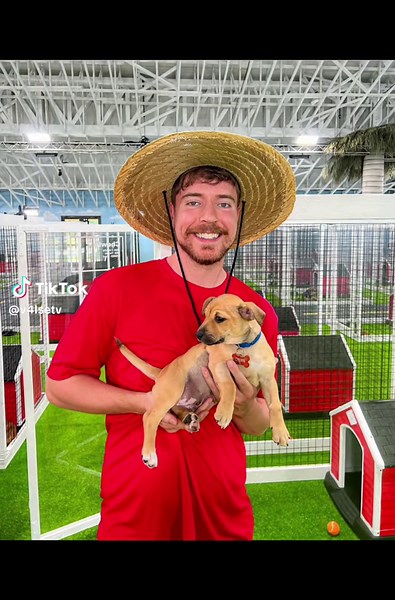 MrBeast New Video Review | YouTube Philanthropy Update