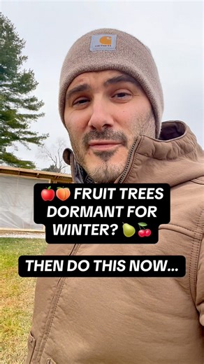 🍎🍑 FRUIT TREES DORMANT FOR WINTER 🍐🍒? THEN DO THIS NOW… #garden #gardening #fruittrees #foodscape | The Fruitful Foodscape