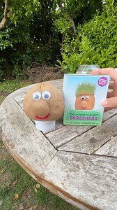 Grow your own Grass Head!🪴 | Sharkboysam