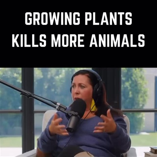 7.6K views · 4.6K reactions | Veganism is not really vegan. ⚠️ Did you know that plants contain defence chemicals which can wreck your gut and overall health? ⬇️ Comment “PLANTS” if you’d like us to send you a link to our FREE GUIDE all about the hidden health dangers of plants (check your messages or message requests) Follow for more: @meathealth and @kevinstock12 Thank you all for following 﫡 | Meat Health | Facebook