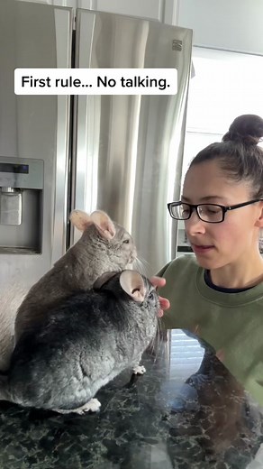 NO EATING IN MY CLASSROOM 🔊 💥 🌪️ | first rule no talking