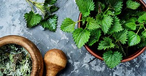 6 helpful herbs for allergy sufferers
