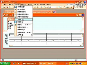 Access 2003视频教学13