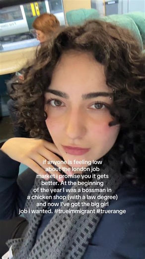 Job Market Resilience After Law Degree