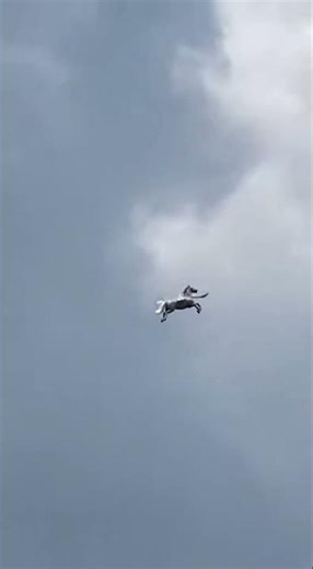 🪽 Mysterious Pegasus Flying in the Sky Caught on Camera! 😱 #shorts