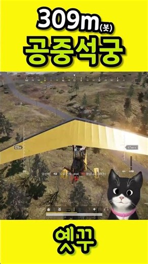 공중석궁 309m [배그석궁]