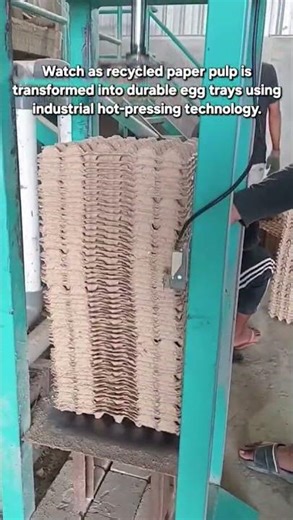 From Waste to Value: The Industrial Egg-Tray Pressing Process