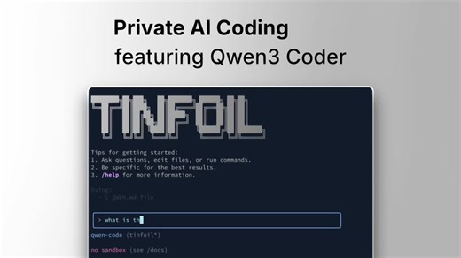 How to use Claude Code or Codex securely and privately | Tanya Verma posted on the topic | LinkedIn