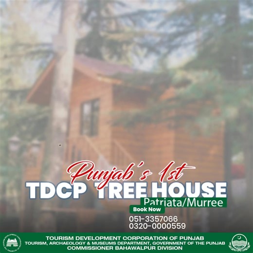 Punjab's first Tree House by TDCP at Patriata (Murree) #treehouse #TDCP #PunjabTourism #MagnificentPunjab #SalamPakistan #PTDC Tourism, Archaeology and Museums Department, Punjab Govt of Punjab | Tourism Development Corporation of Punjab