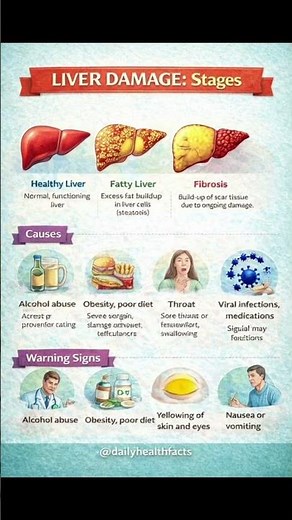 Liver Damage Stages Explained: Warning Signs You Should Never Ignore