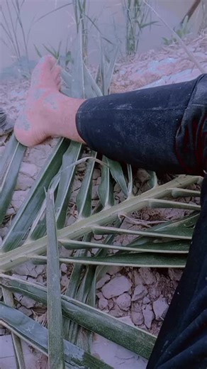 Video của bi cs4 (@baocamaukkk) với bản nhạc nhạc nền - G5R Remix 📻