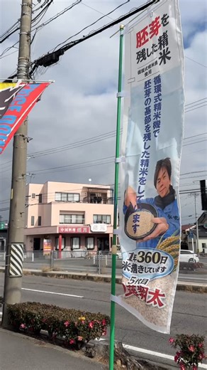 近藤米穀店らいすぴあ | 当店の精米は「胚芽の基部（根元の部分）」をあえて残す、特別な精米をしています。🌾 使用しているのは「循環式精米機」。 お米同士を優しくこすり合わせるように時間をかけて精米することで、栄養が詰まった胚芽部分をしっかり残した、旨み豊かなお米に仕上がります。✨... | Instagram