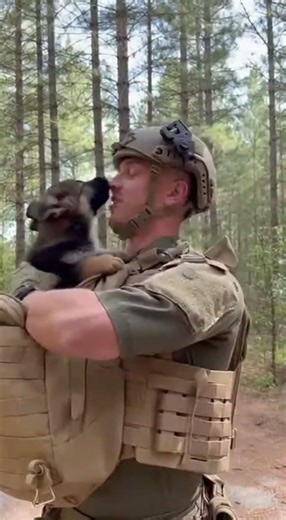 #puppy Royal German Shepherd Puppy Tries to Escape Soldier’s Backpack During K9 Training