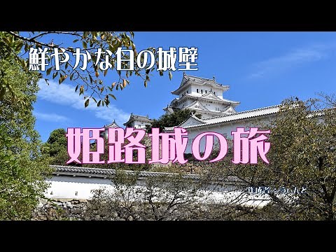 世界遺産 姫路城の旅 鮮やかな白のシラサギ城♬ #HimejiCastle #過去pic #ナレーション入り