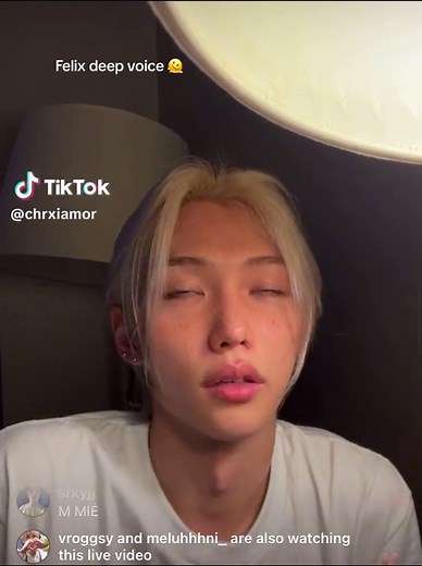 Felix Deep Voice Compilation - Skz Felix Stray Kids