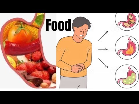 How food actually digest in the human body.