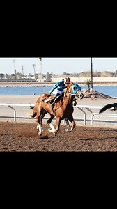 Photo Credit: Coady Media | Sunland Park Racetrack & Casino