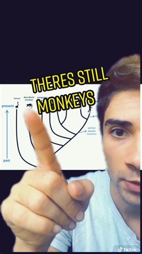 If we came from monkeys why are they still here? #science