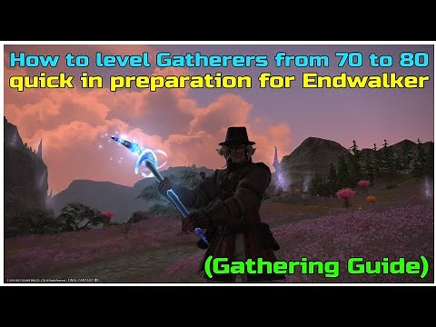 FFXIV shadowbringers How to level gatherers from 70 to 80 in preparation for Endwalker
