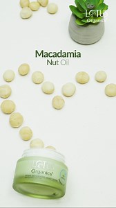 What makes Macadamia Nut Oil so powerful?​ Its structure mimics your skin’s sebum, allowing deep healing.​ Our Divine Restorative Crème, made with 100% certified organic Macadamia nut oil, restores softness, strengthens the barrier, and rewinds visible stress overnight. #RootedInOrganic​ ​​ [#RootedInOrganic, Divine Restorative Crème, 100% certified organics Macadamia Nut Oil, Chemical Free, 100% Certified Organic Ingredients, Organic Lotus Organics Plus] | Lotus Organics
