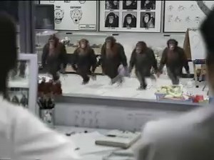 Irish Riverdance Monkeys Love this. | Things only Irish people will get