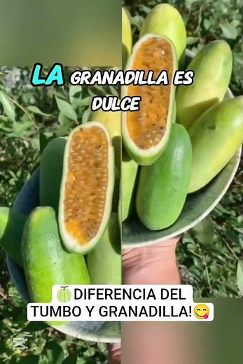 What is the difference between a tumbo and a granadilla?