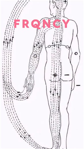 Alchemy Orchards Creation Family Farms on Instagram: "A toroid is a three-dimensional geometric shape resembling a doughnut or a ring, formed by rotating a closed curve around an axis that doesn’t intersect the curve! This unique shape has various applications, particularly in electromagnetism and electrical circuits. In physics, a toroid is often used to describe the magnetic field generated by current flowing through a coil of wire wound in a circular shape ? Pla The magnetic field inside a to