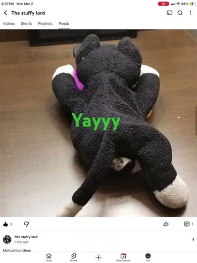 Go sub to “The stuffy lord” (First time screen recording)