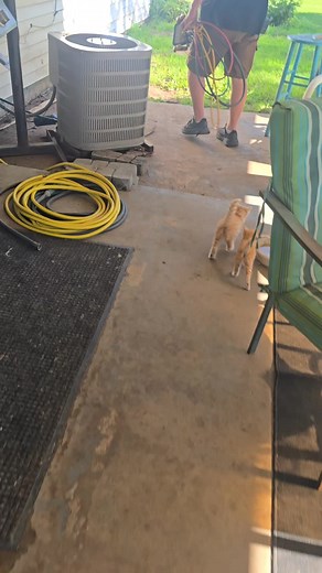 HVAC Kewling Fix: Why the AC System Isn't Kewling (Quick Guide)