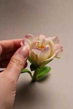 Touching a Blooming Flower ASMR 🖐️🌸 | Soft Petal & Bloom Sounds 🎧