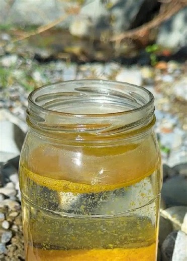 Simple Water Purification Method #fblifestyle | FoodGasmic