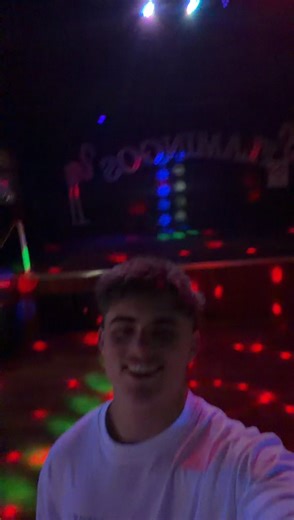 Flamingo Facts: More Than Just a Pink Bird