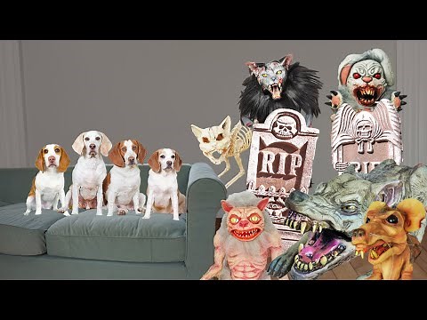 Dogs vs Pet Cemetery Come to Life! Funny Dogs Maymo & Friends vs Zombie Animals on Halloween Prank