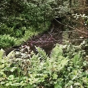 11K views · 243 reactions | JFT fabrications racer with VW 1.9 tdi engine we have remapped ! Soon to have a CRturbos for extra power   #teamGOracing #performanceinsideremap | Td5 Inside / Performance Inside | Facebook