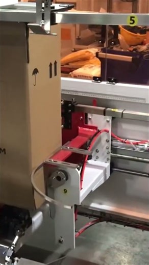 #factor test Opening and sealing of the corrugated cartons #machine